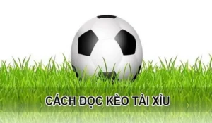 Phân Tích Kèo Tài Xỉu Hiệp 1 Và Bí Quyết Dự Đoán Bàn Thắng Sớm