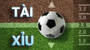 Phân Tích Chi Tiết Kèo 2.25 Và Cách Tính Thắng Thua Trong Bóng Đá