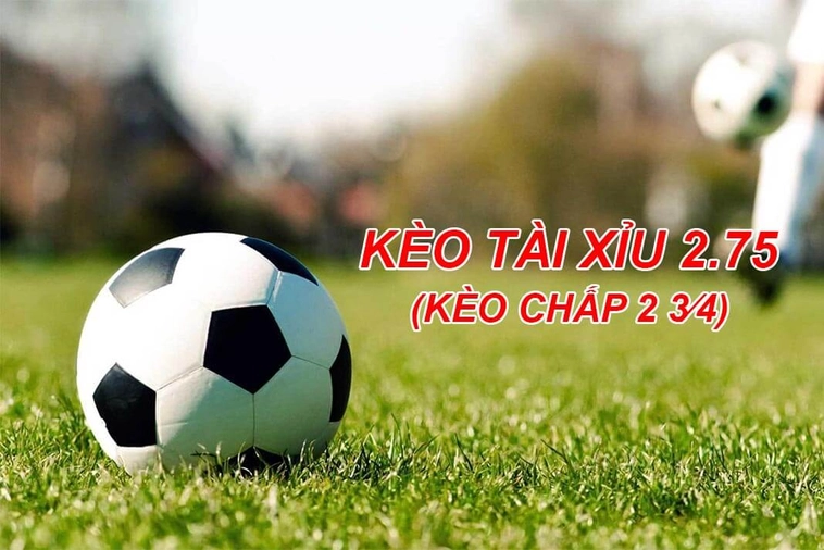 Phân Tích Chi Tiết Kèo 2.75 Và Cách Tính Thắng Thua Trong Bóng Đá