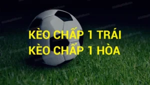 Phân Tích Chi Tiết Kèo Chấp 1 Hòa Và Cách Tính Thắng Thua Chính Xác